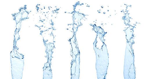 Our water filter is one of the finest on the market and consists of a reverse osmosis system